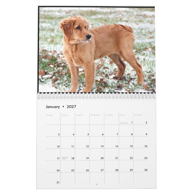 Mural Calendrier 2015 de penny (Jan 2027)