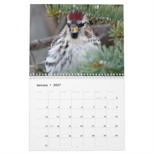 Mural Calendrier 2015 de petits oiseaux (Jan 2027)
