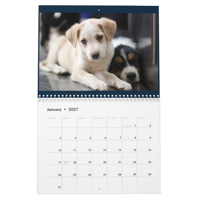 Mural Calendrier 2015 des soins des animaux de collines (Jan 2027)