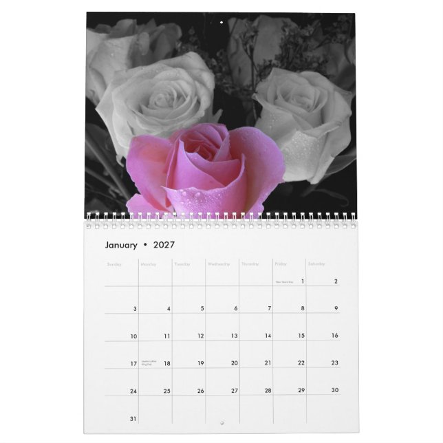 Mural Calendrier 2015 rose (Jan 2027)