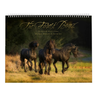 Mural Calendrier 2016 de Boyz de forêt