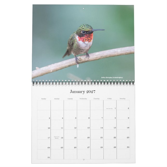 Mural Calendrier 2016 de colibri (Jan 2027)
