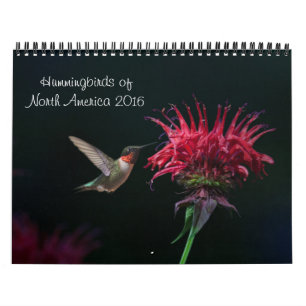 Mural Calendrier 2016 de colibri