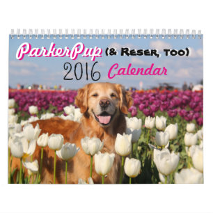 Mural Calendrier 2016 de ParkerPup (et Reser, trop)