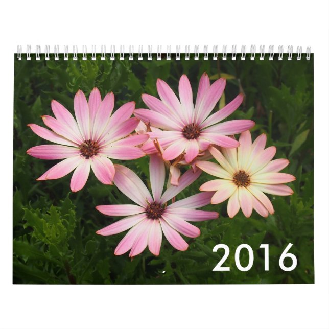 Mural Calendrier 2016 de photo (Protection)