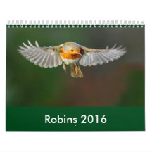 Calendrier 2016 de Robin