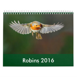 Mural Calendrier 2016 de Robin
