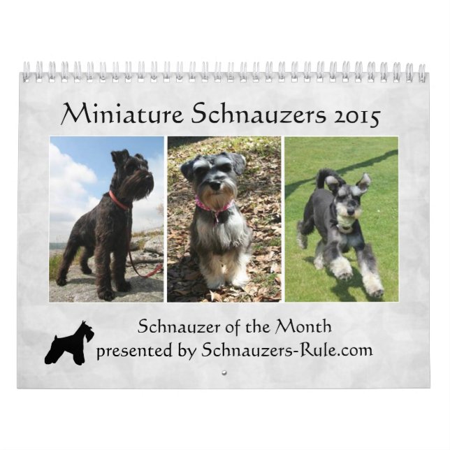 Mural Calendrier 2016 de Schnauzer (Protection)