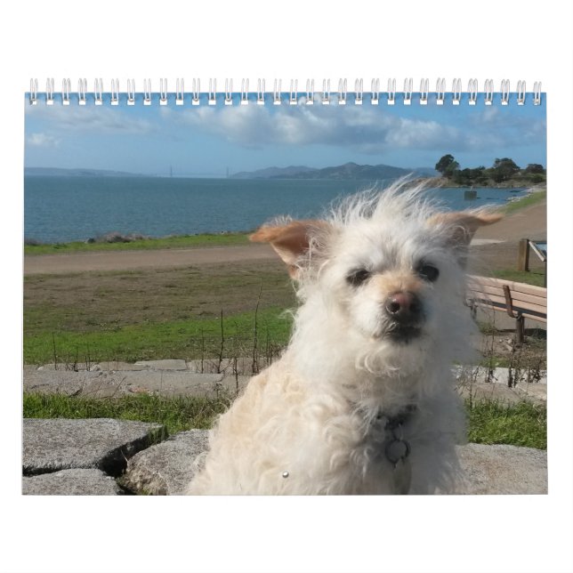 Mural Calendrier 2017 de Gwendolyn (Protection)