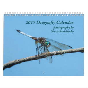 Mural Calendrier 2017 de libellule