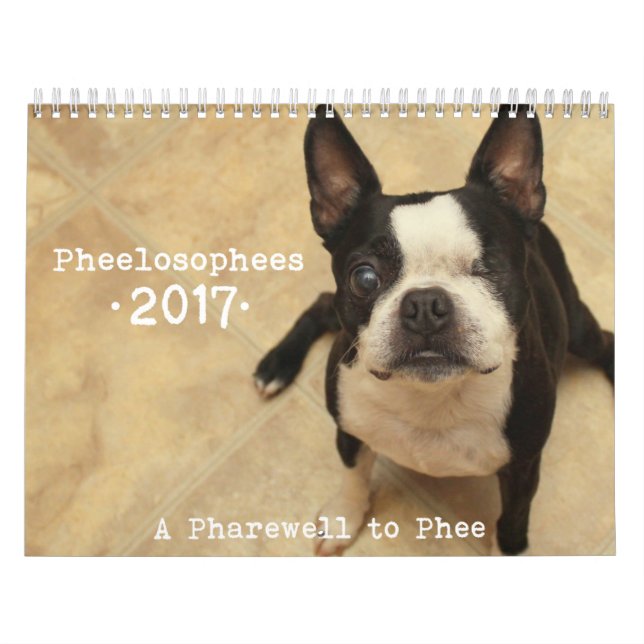Mural Calendrier 2017 de Pheelosophees (Protection)