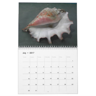 Mural Calendrier 2017 des coquilles