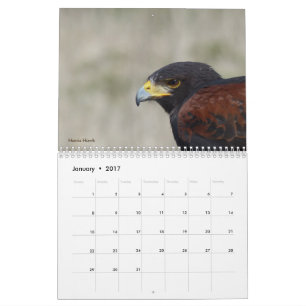 Mural Calendrier 2017 - Oiseaux d'Amérique du Nord