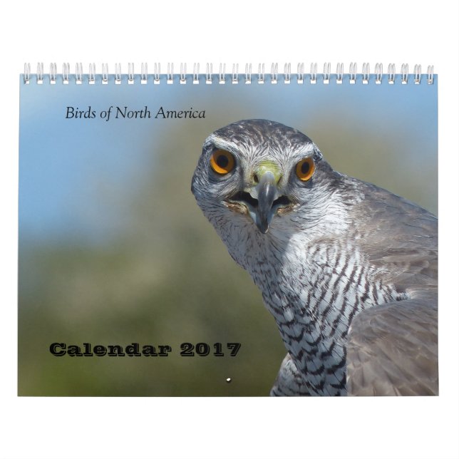 Mural Calendrier 2017 - Oiseaux d'Amérique du Nord (Protection)