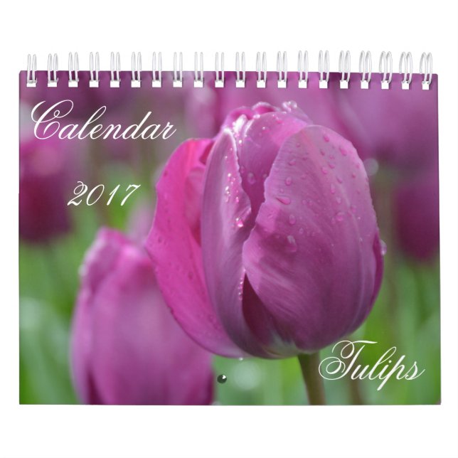Mural Calendrier 2017 Tulipes (Protection)