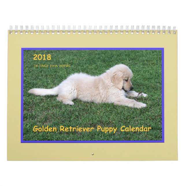 Mural Calendrier 2018 de chiot de golden retriever (Protection)