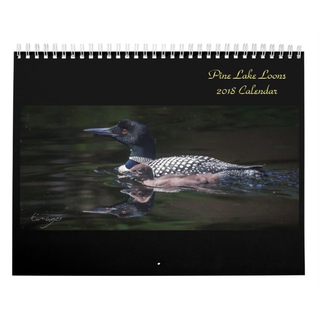 Mural Calendrier 2018 de dingue de lac pine (Protection)