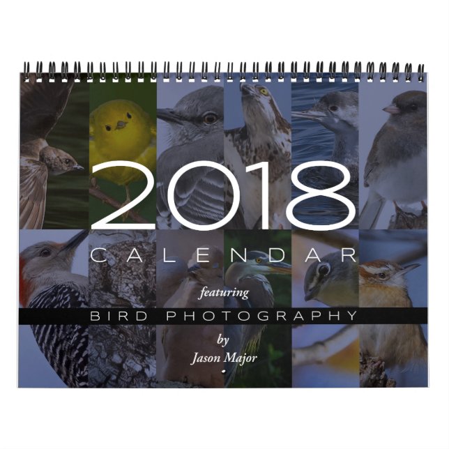 Mural Calendrier 2018 de la photographie d'oiseau (Protection)