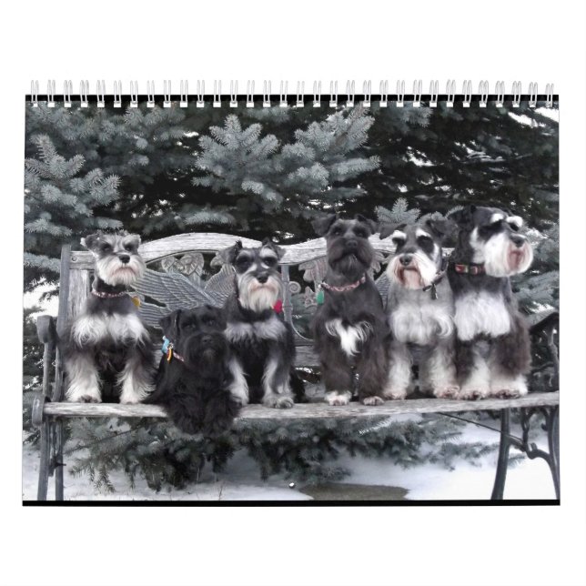 Mural Calendrier 2018 de Schnauzer (Protection)