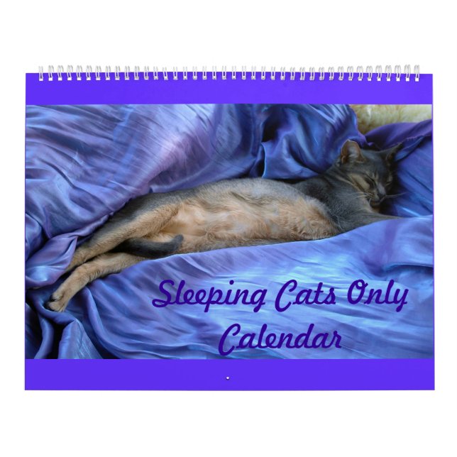 Mural Calendrier abyssinien de chats de sommeil (Protection)