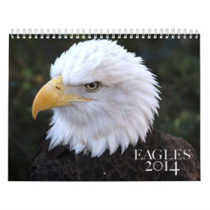 Mural Calendrier américain d'Eagle chauve 2014