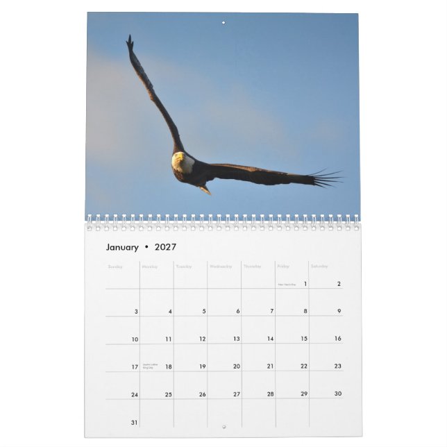 Mural Calendrier américain d'Eagle chauve 2014 (Jan 2027)