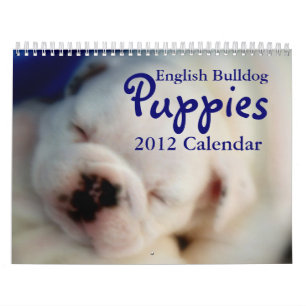 Mural Calendrier anglais des chiots 2012 de bouledogue