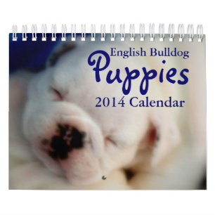 Mural Calendrier anglais des chiots 2014 de bouledogue