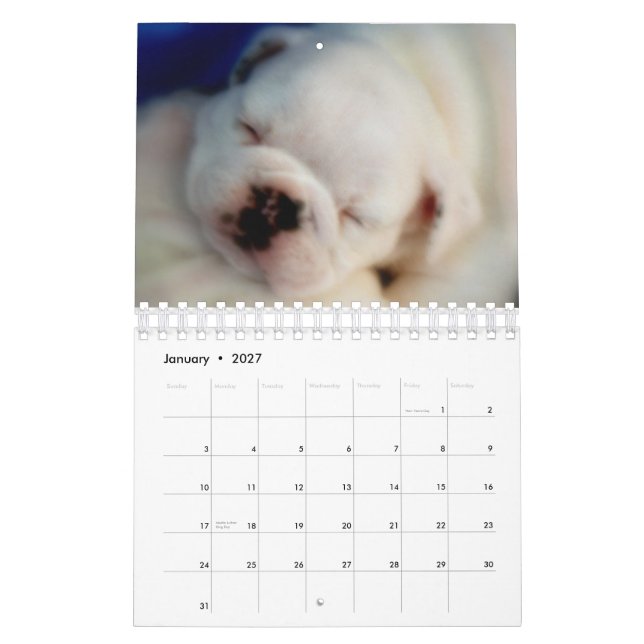 Mural Calendrier anglais des chiots 2015 de bouledogue (Jan 2027)