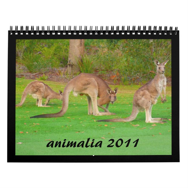 Mural calendrier animal 2011 (Protection)