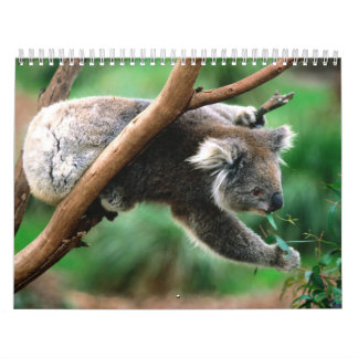 Mural Calendrier animal 6