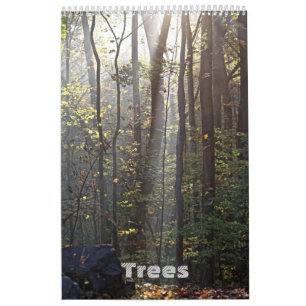 Mural Calendrier - Arbres #1