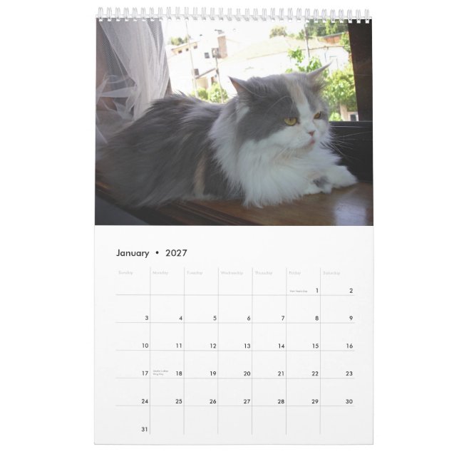 Mural Calendrier avec des chats - customisés (Jan 2027)