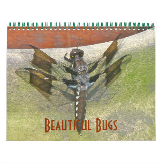 Mural Calendrier - Beaux bugs