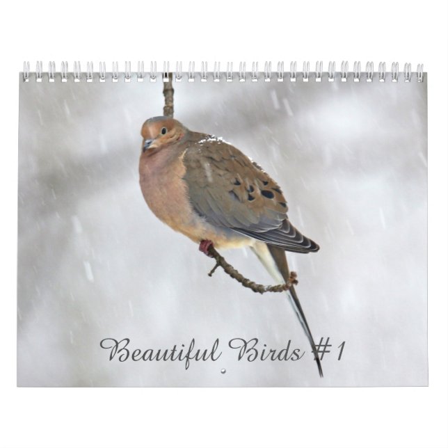 Mural Calendrier Beaux oiseaux #1 (Protection)