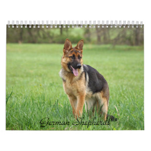 Mural Calendrier berger allemand