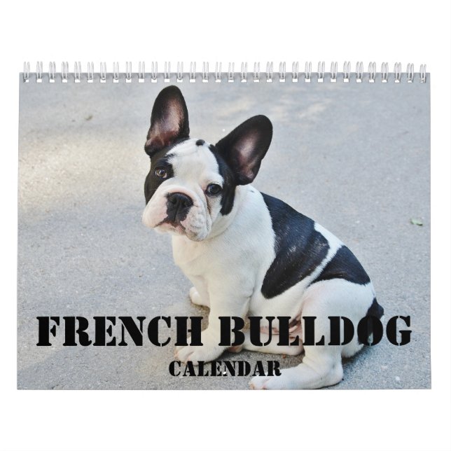 Mural Calendrier Bulldog 2026 avec vos photos (Protection)