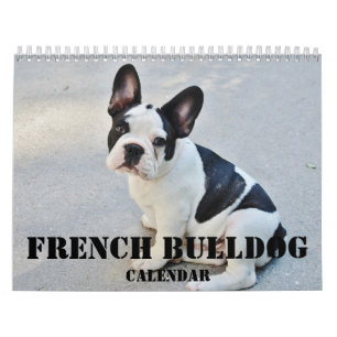 Mural Calendrier Bulldog 2026 avec vos photos