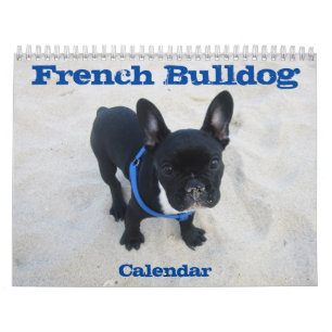 Mural Calendrier Bulldog Français 2026 Design It