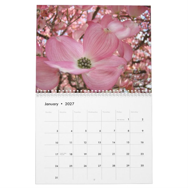 Mural Calendrier Cadeaux Fleurs ARBRES CORNUS FLORIDUS (Jan 2027)