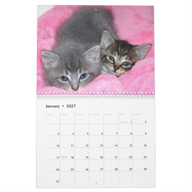 Mural Calendrier célèbre de Mannois de miracle (Jan 2027)