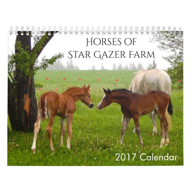 Mural Calendrier Chevaux 2017 (Protection)