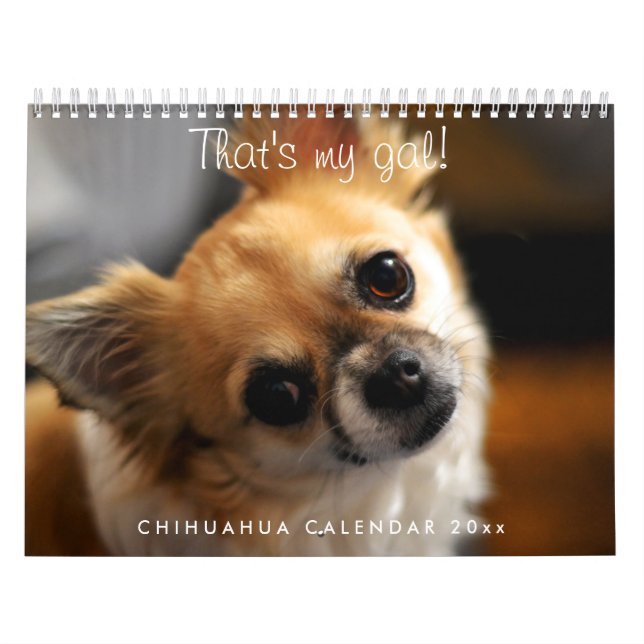 Mural Calendrier Chihuahua 2023 C'est mon Gal (Protection)