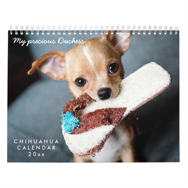 Mural Calendrier Chihuahua 2026 Vos Photos Pour Animaux (Protection)