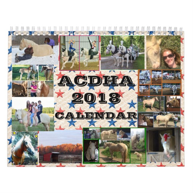 Mural Calendrier d'ACDHA 2018 (Protection)
