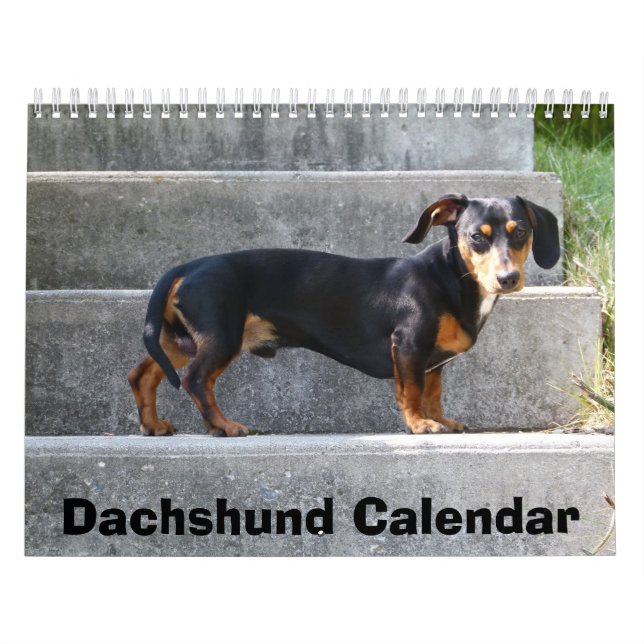 Mural Calendrier Dachshund 2023 Ajouter Vos Photos (Protection)