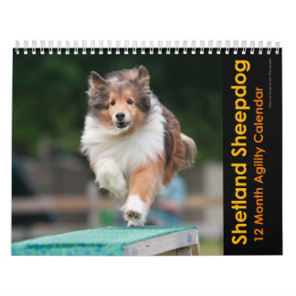 Mural Calendrier d'agilité Shetland Sheepdog