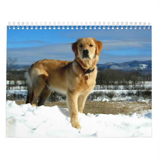 Mural Calendrier d'amants de golden retriever (Protection)