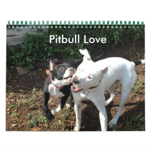 Mural Calendrier d'amour Pitbull