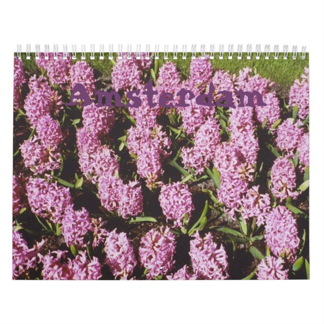 Mural Calendrier d'Amsterdam (Protection)